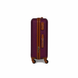 Валіза Wings GDW01 міні 28л бордова (GDW01-XS-Burgundy) GDW01-XS-Burgundy фото 3